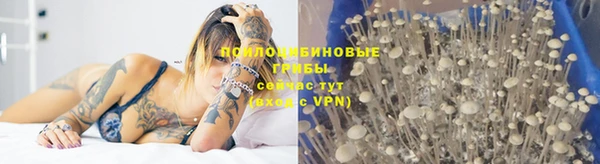таблы Алексеевка